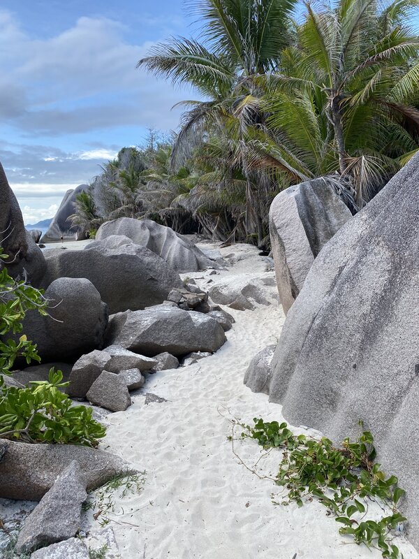 White sand path between granite boulders and palm trees in Seychelles
